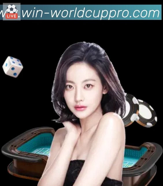 奖项证书